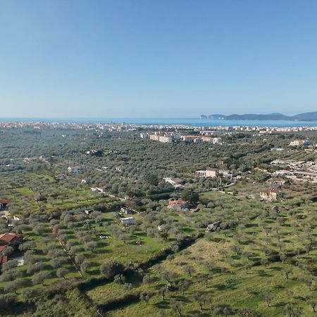 Apartament Villino Azul Alghero Zewnętrze zdjęcie