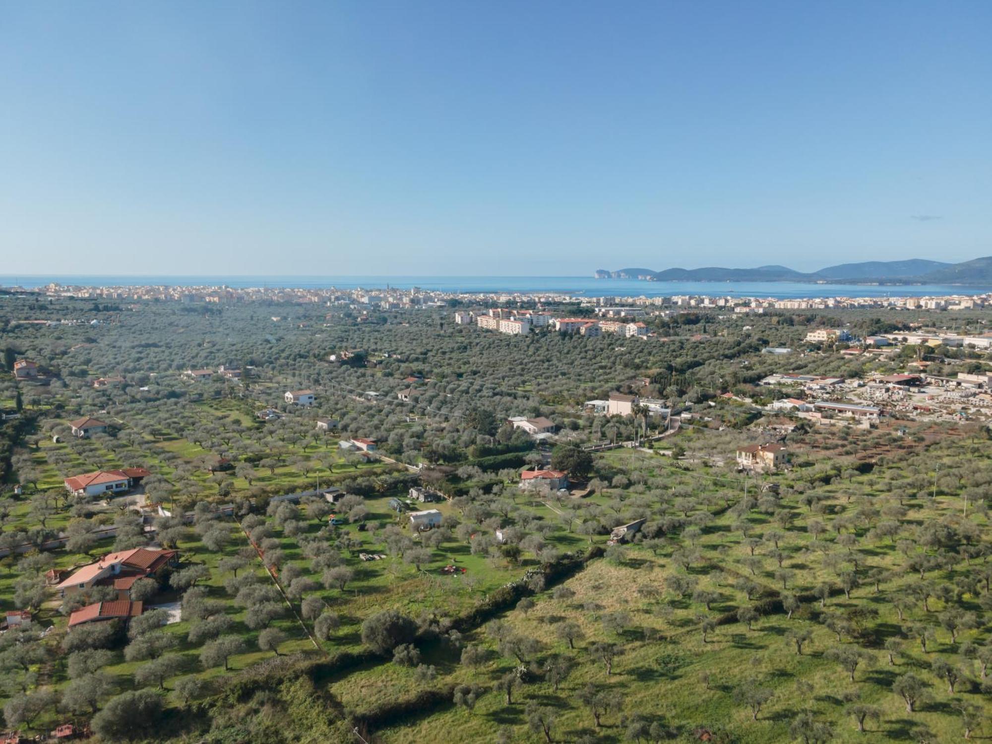 Apartament Villino Azul Alghero Zewnętrze zdjęcie